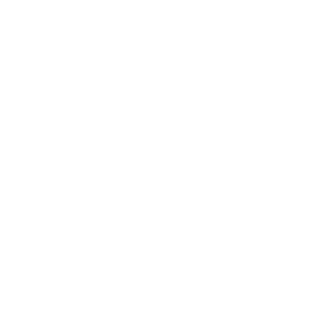 Capital de Inversión