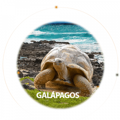 galapagos-burbuja