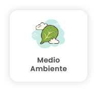 Medio Ambiente