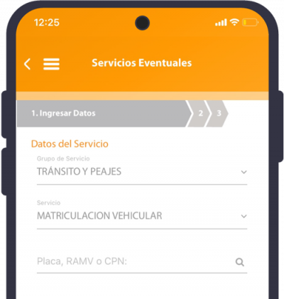 pago matricula en linea