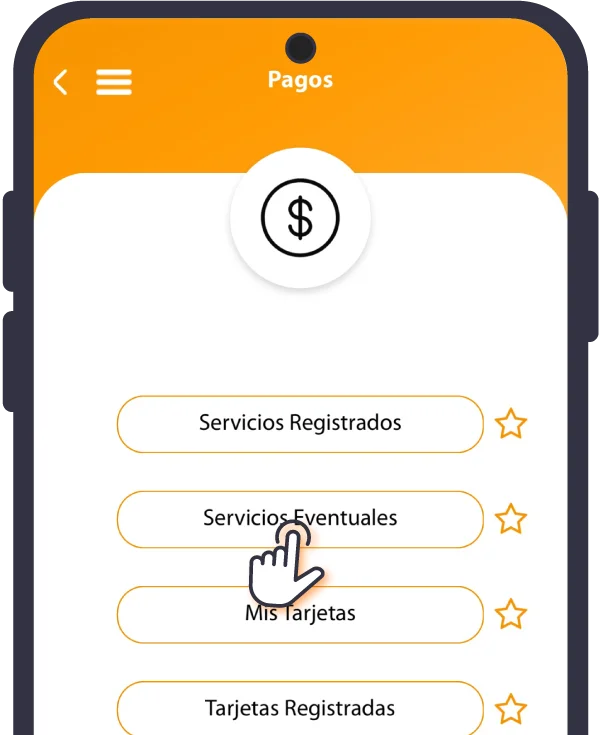 pago de servicios basicos