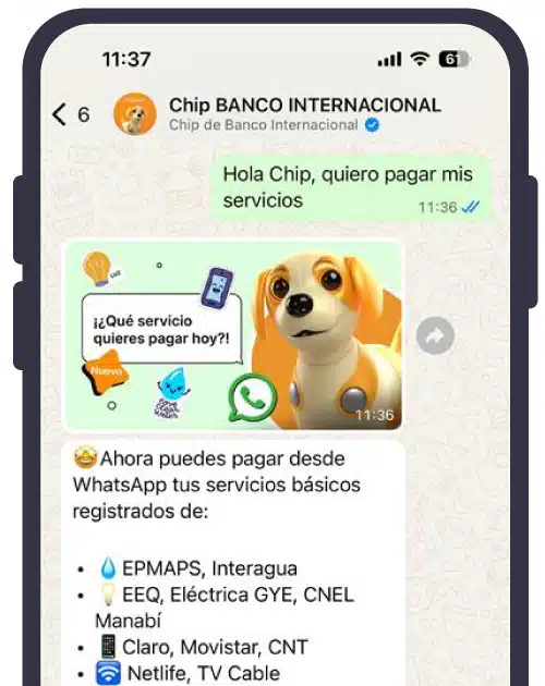 Hola CHIP