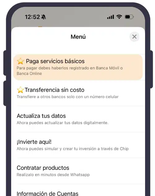 Paga servicios básicos