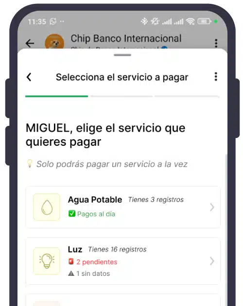 Selecciona el servicio a pagar